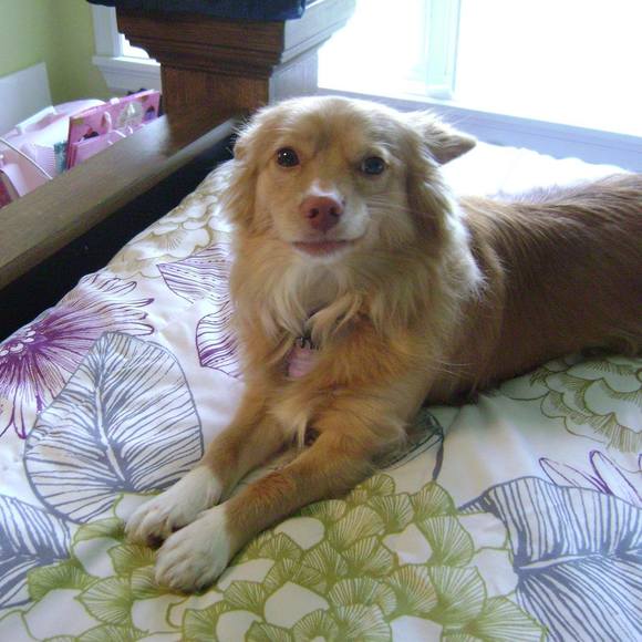 Meet your Posher, Cindy - Picture 1 of 1